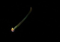 /album/fotogaleria-whaav-co-to-lieta-na-oblohe-/mg-0028-jpg/