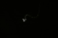 /album/album-m-1-whavv-objavili-sme-mfn-/img-0431-jpg/